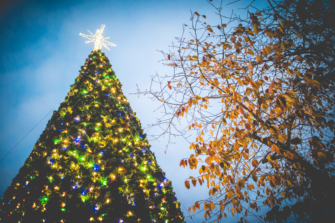 ​KNOW BEFORE YOU GO: HOLIDAYS IN MANAYUNK