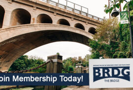 BRDG Community Membership