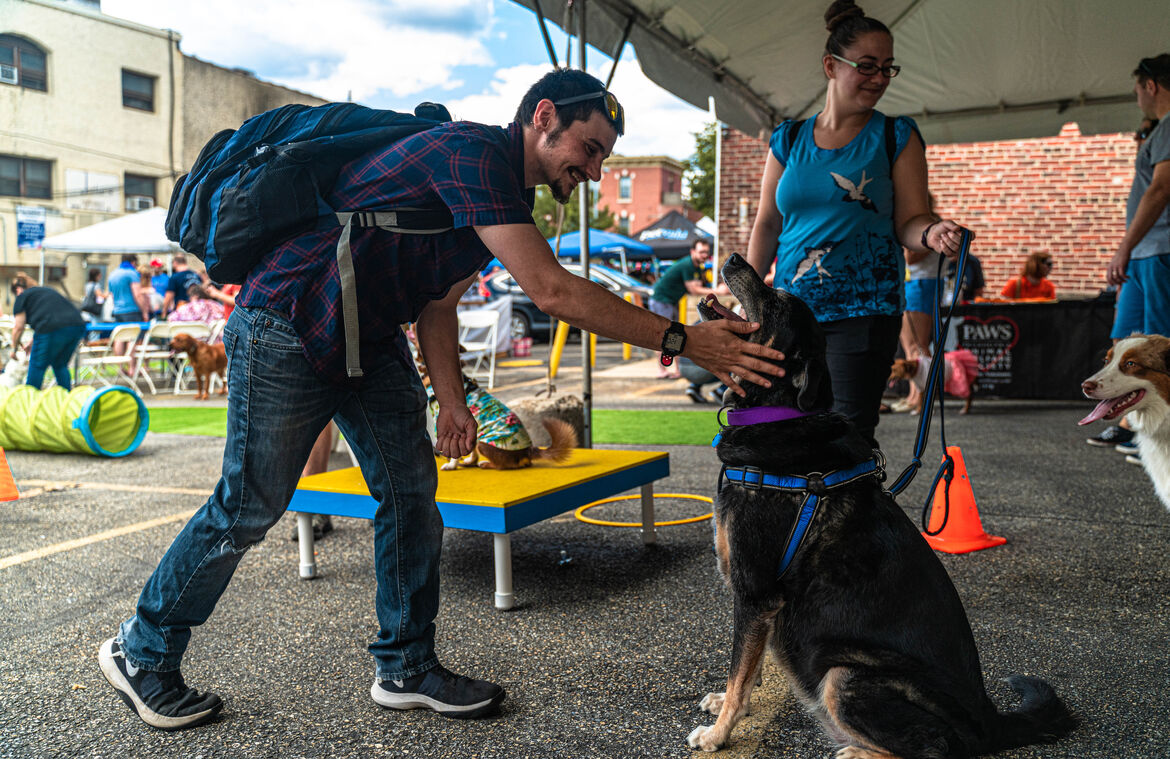 Know Before You Go: Dog Day of Summer