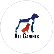 All Canines