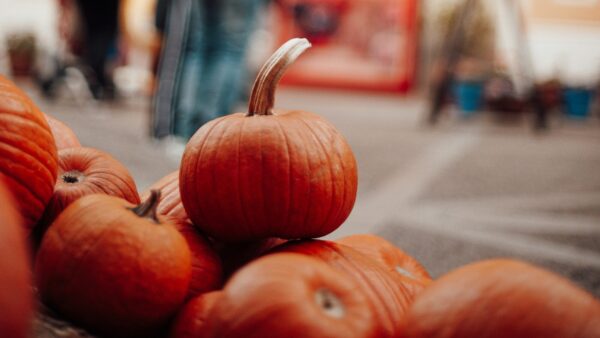 Pumpkins for sale at an outdoor market in autumn season